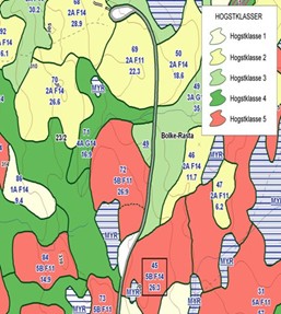 Skogbruksplan – et nøkkelverktøy for skogeiere